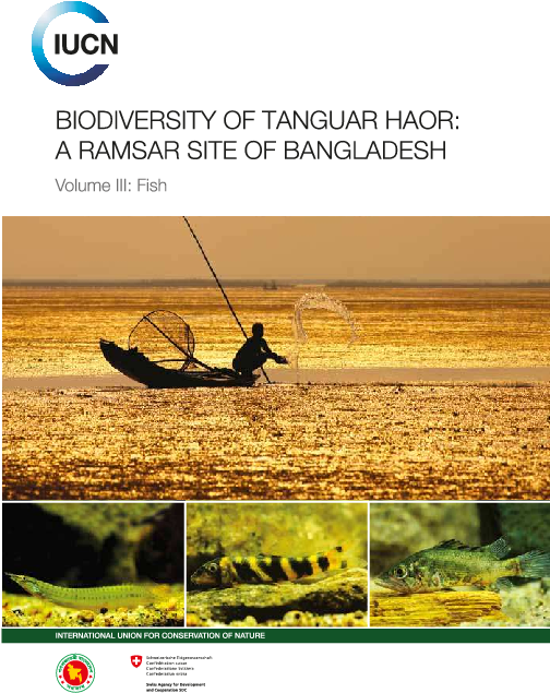 Pdf - Sea Kayak (1224x828), Png Download