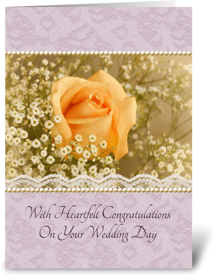 Peach Rose Wedding Congratulations - Wedding (1050x1188), Png Download