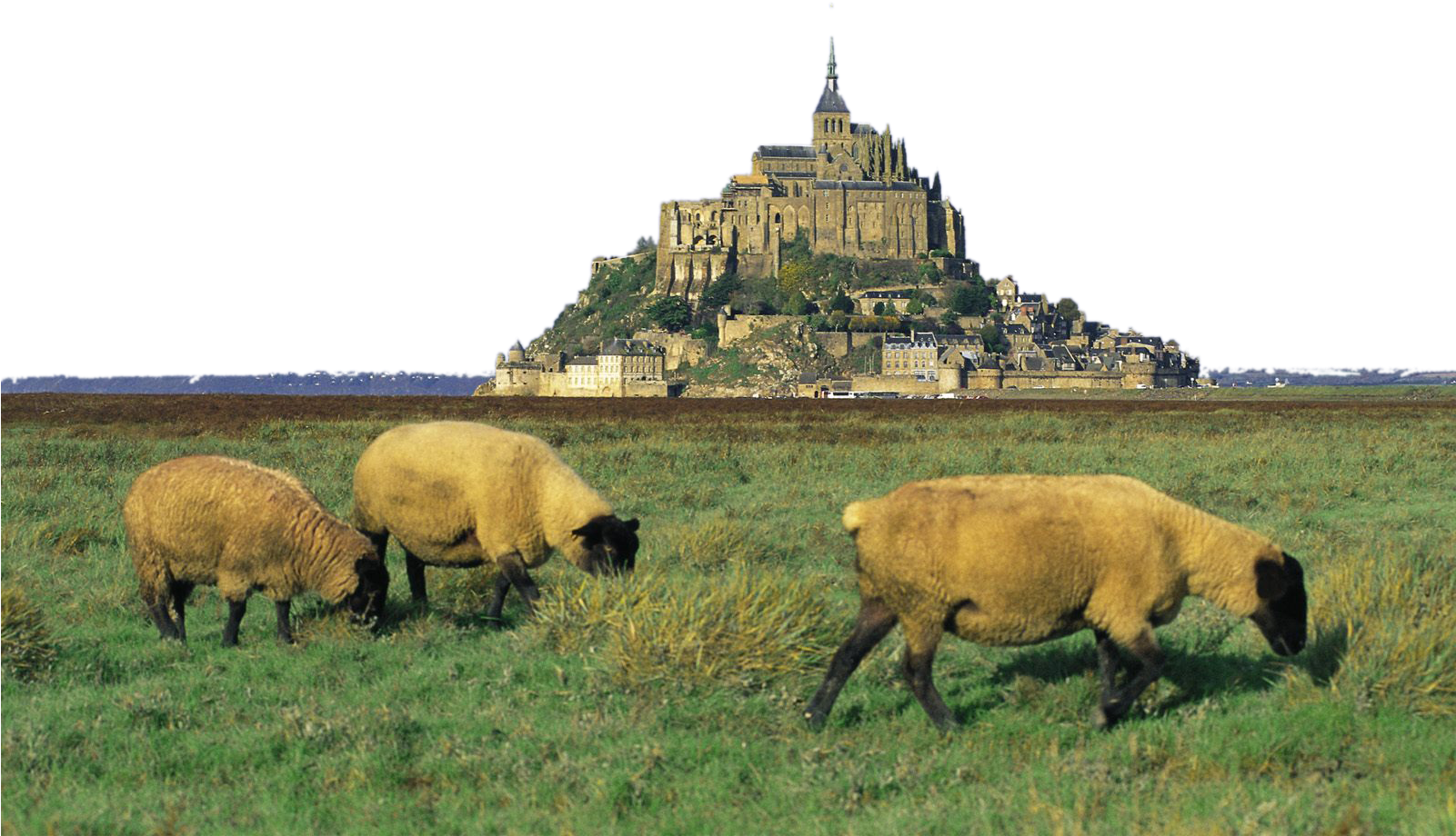 Mont Saint Michel (1600x1200), Png Download
