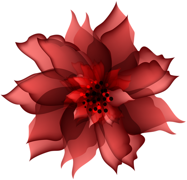 Flower Decorations, Clip Art, Flower Decoration, Floral - Red Flowers Images Transparent (600x577), Png Download