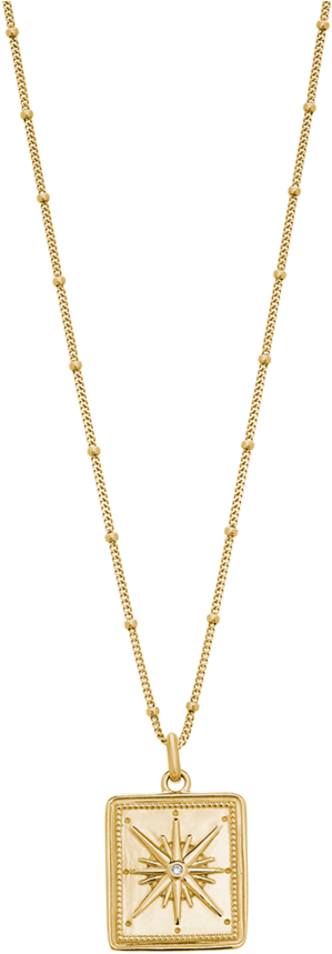 True North Coin Necklace True North Coin Necklace - Snygga Halsband Herr Guld (939x1024), Png Download