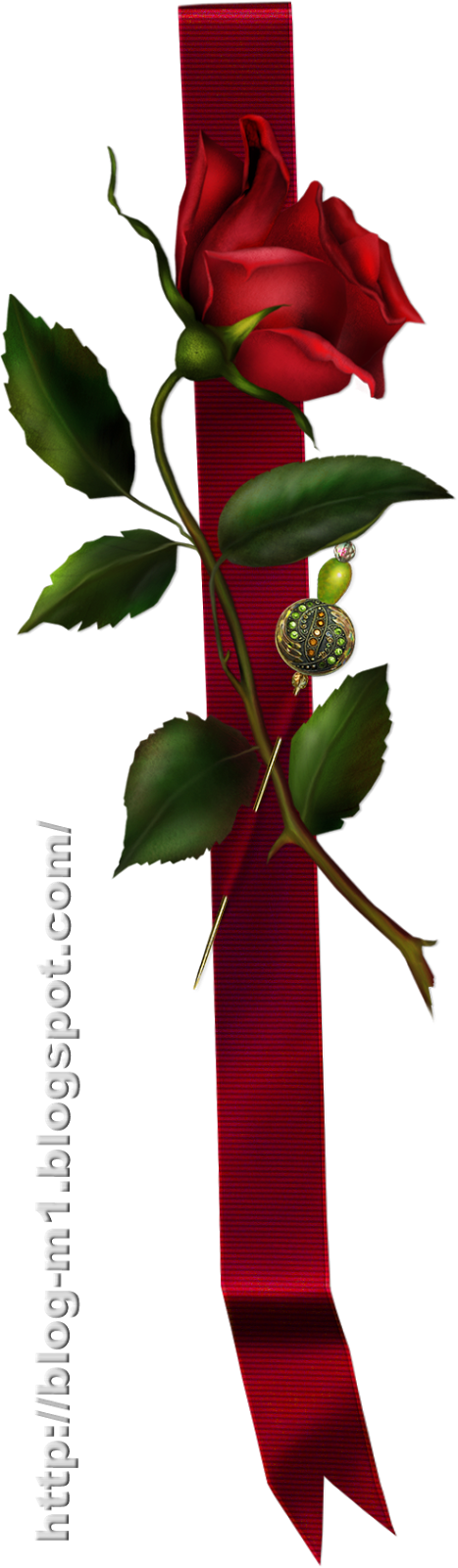 61-bir Kandil Gülü Savur Sevdiklerine, Size Onlardan - Red Rose With Ribbon (467x1600), Png Download