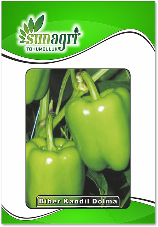 Cin Kıl Biber (1000x1000), Png Download