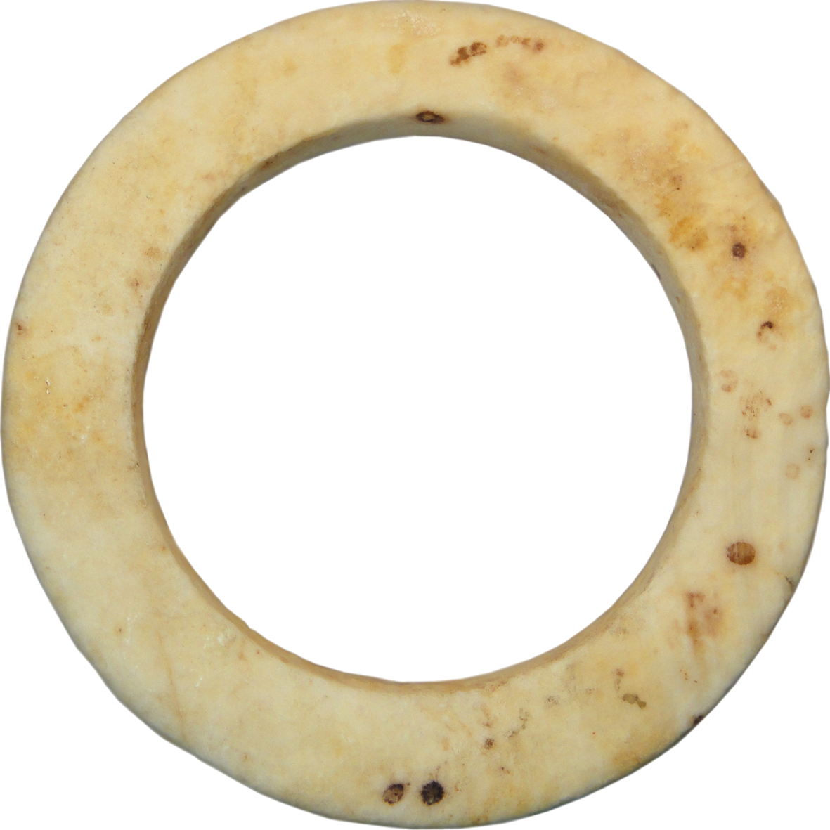 Western Solomon Islands, Bakia Clam Shell Ring With - Body Jewelry (1181x1181), Png Download