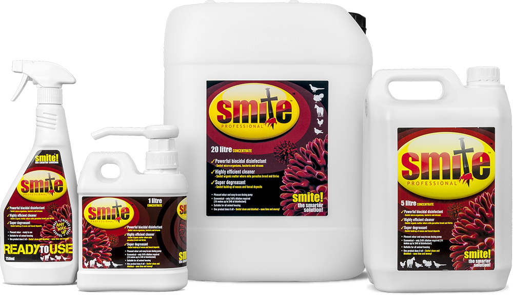 Smite Professional - Bottle (1000x576), Png Download