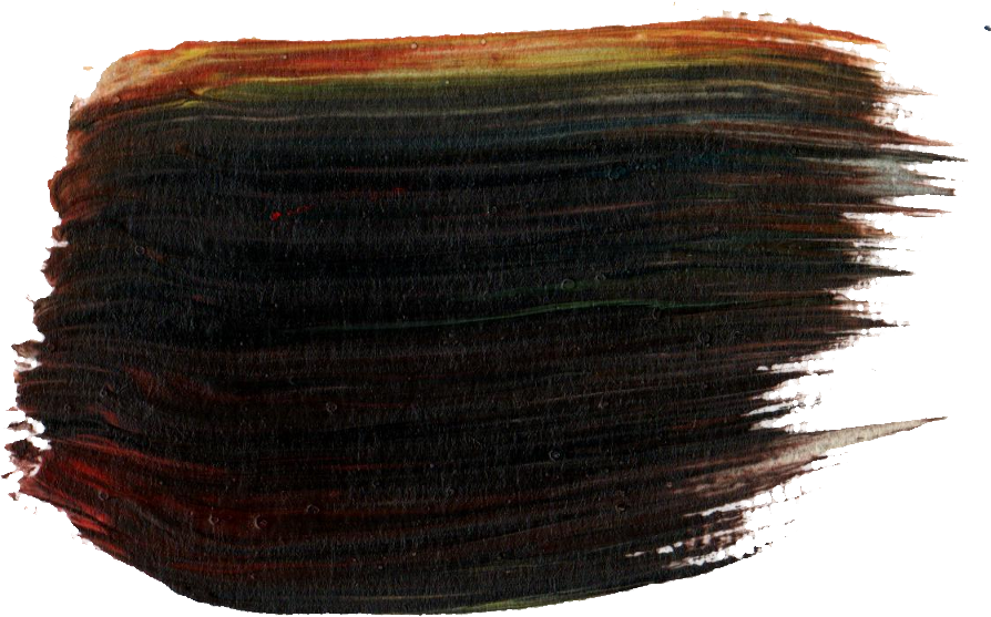 Free Download - Baltic Clam (894x557), Png Download