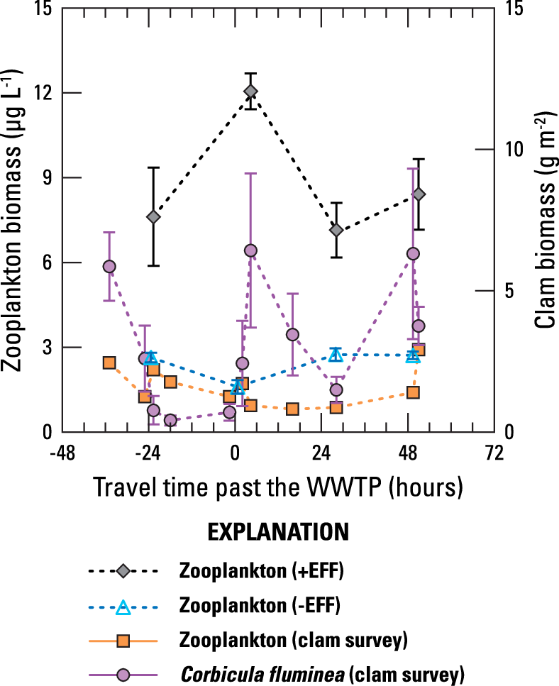 Zooplankton And Clam Biomass Data Collected For The - Diagram (788x967), Png Download