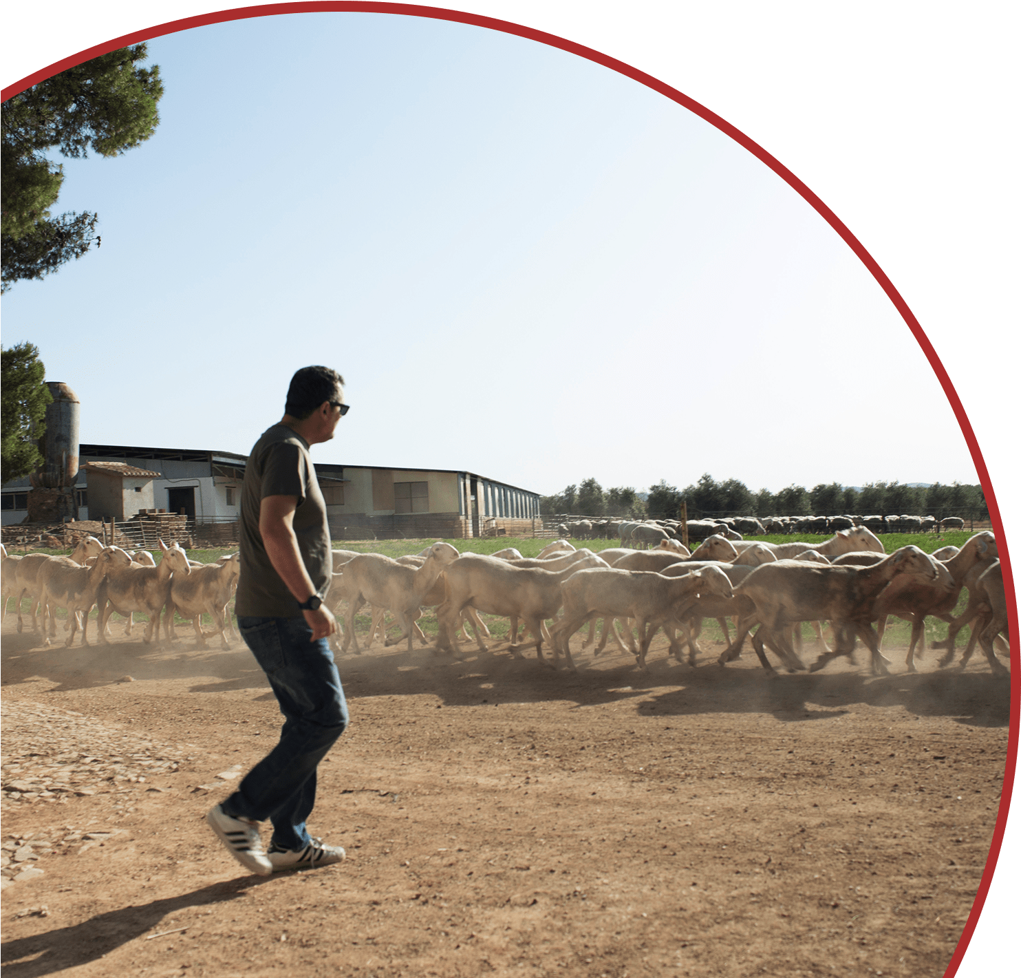 2 Oz - Arch (1484x1500), Png Download