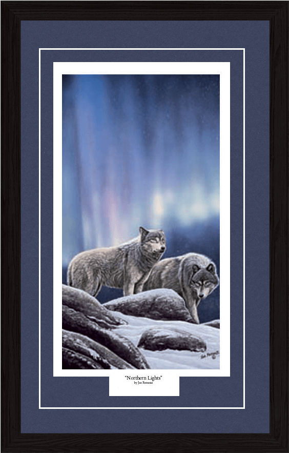 Northern Lights - Cougar (1093x882), Png Download