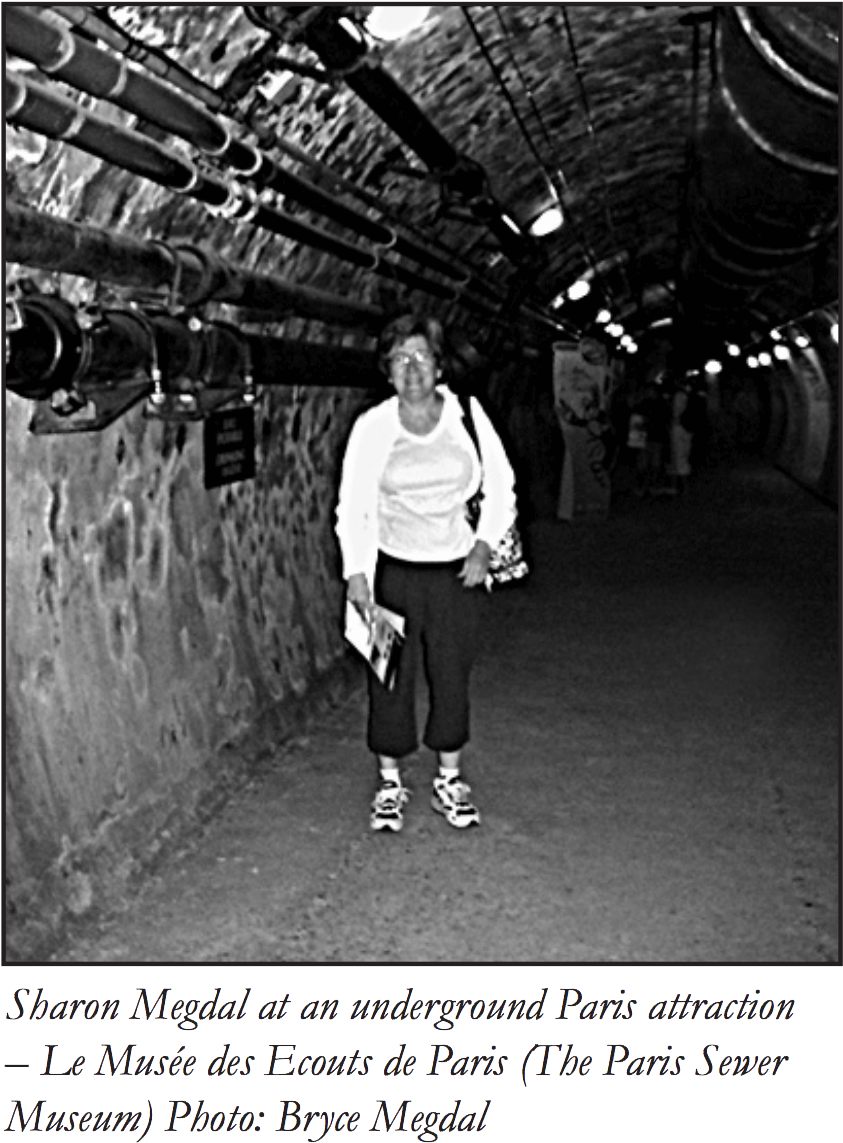 An American In Paris Realizes Arizona Could Do More - Snapshot (900x1186), Png Download