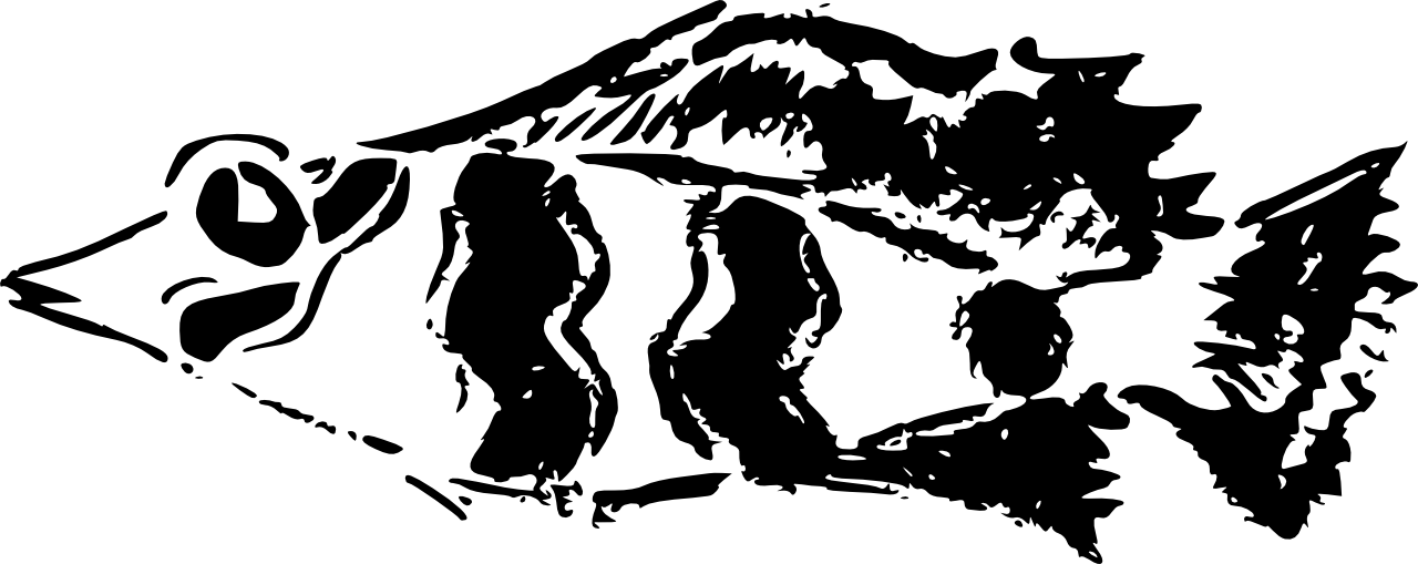 Fish 1280 - Fish Graffiti Png (1280x509), Png Download