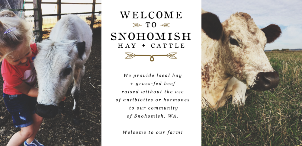 Banner - Dairy Cow (1000x484), Png Download