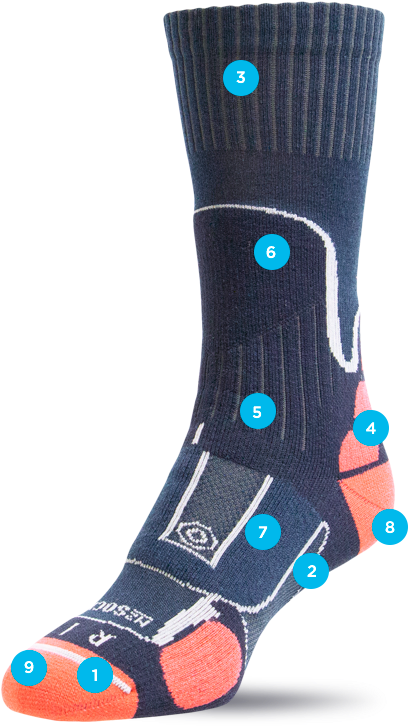 Left & Right Construction For An Anatomical Fit - Sock (800x800), Png Download