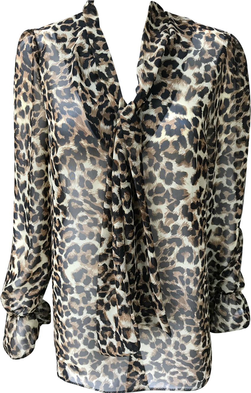 Leopard Print Top - Blouse (993x1324), Png Download