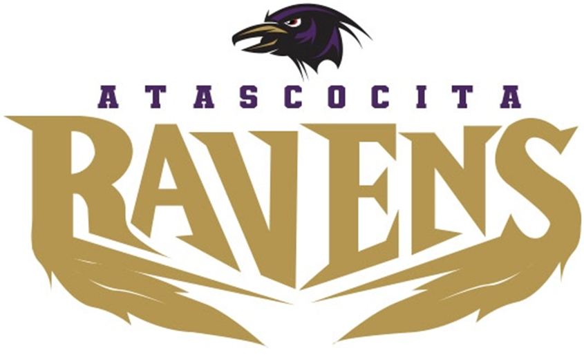 Ravens - Graphic Design (1920x516), Png Download