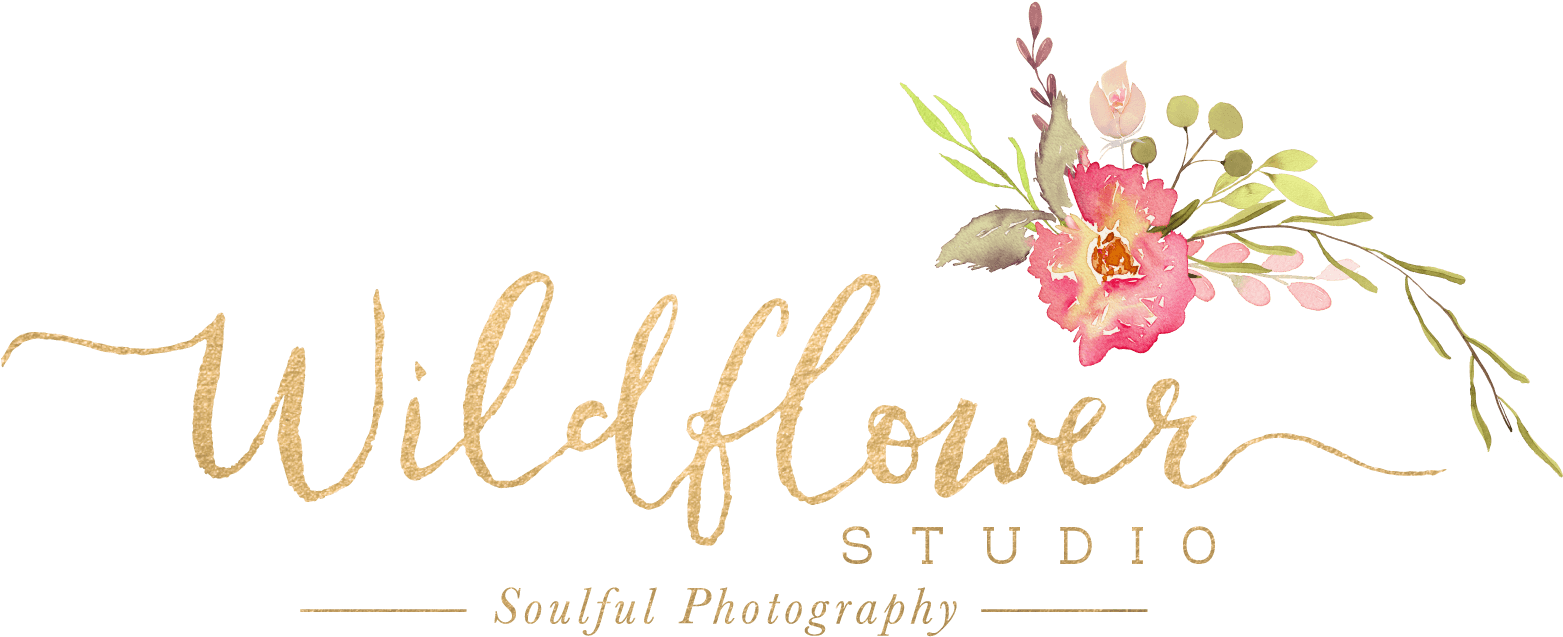 Calligraphy (1616x646), Png Download