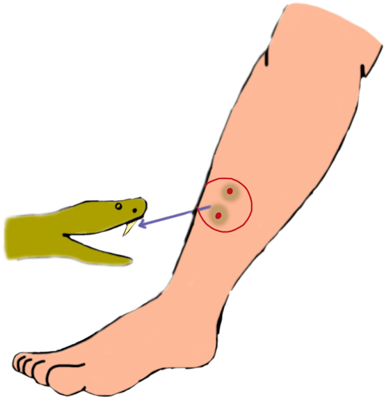 Treatment - (700x700), Png Download