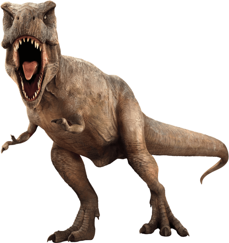 Jurassic Park Png Picture - Jurassic Park Dinosaurs (800x804), Png Download
