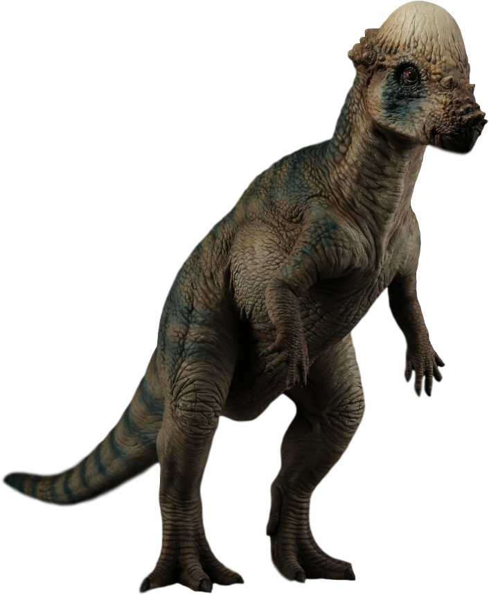 Pachycephalosaurus - Skyrim Dog Png (740x888), Png Download