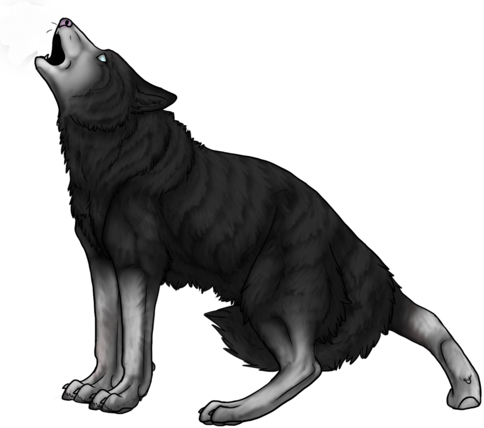Black Wolf Howling Photo - Illustration (950x841), Png Download
