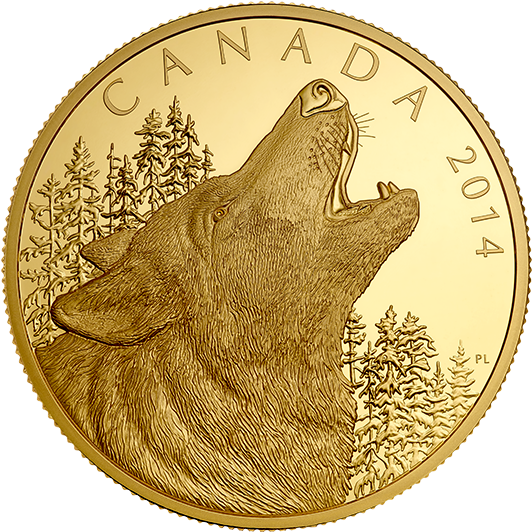 130500 Rev-570 - Coin (570x570), Png Download