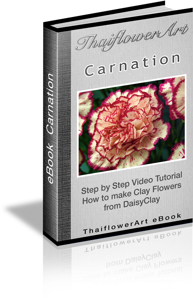 Japanese Camellia (699x1000), Png Download