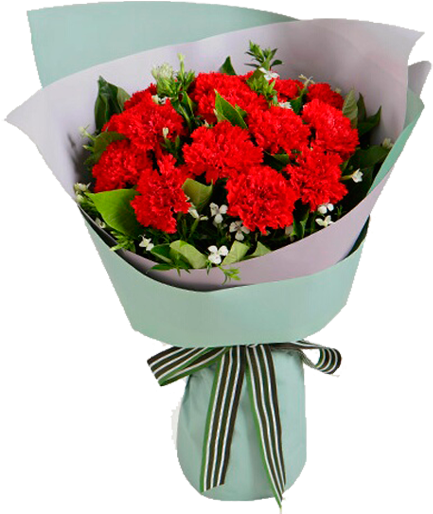 Carnation (600x600), Png Download