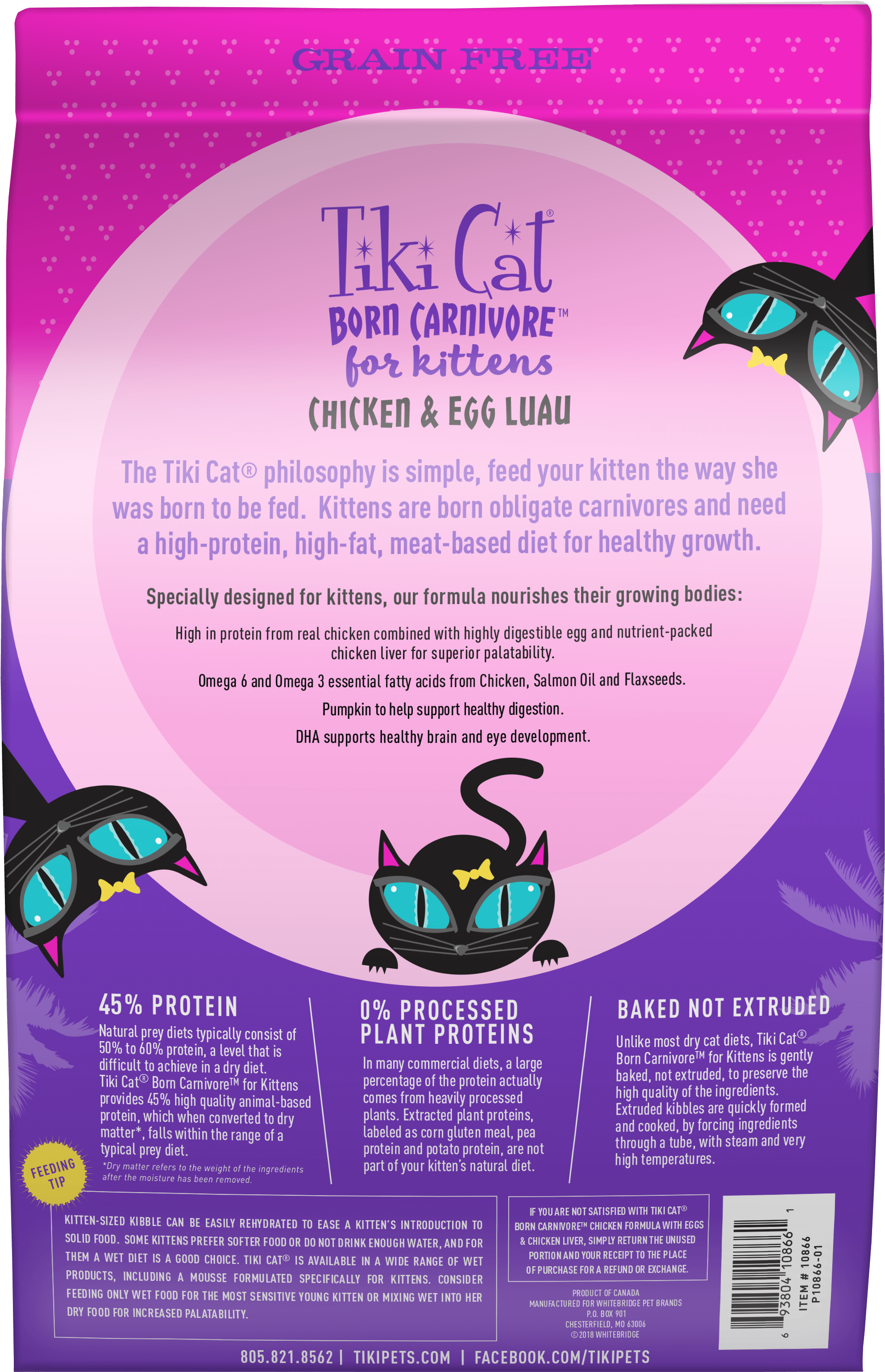 Previous - Next - African Grey (3114x3608), Png Download