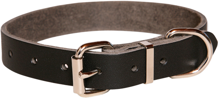 Taurus Plain Leather Heavy Duty Dog Collar 25mmx485mm - Buckle (763x571), Png Download