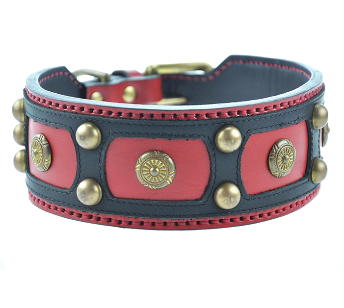 Dog Collar Transparent Background Png - Dog Collar Transparent Background (700x700), Png Download