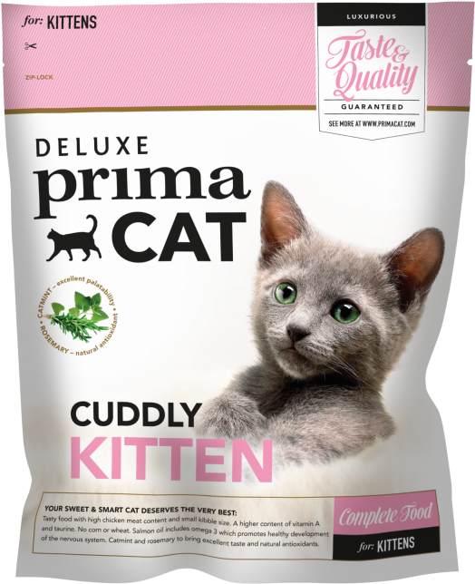 Deluxe Primacat » - Primacat Kitten (566x700), Png Download