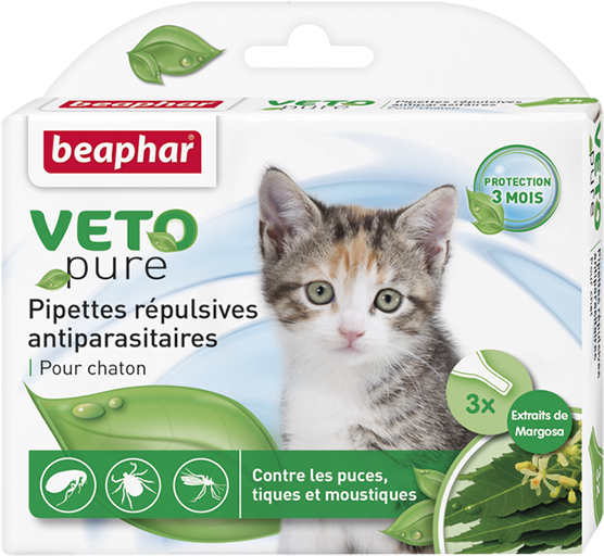 Best Pet Groomer Around East Coast - Beaphar Veto Mačky Prírodný (591x547), Png Download