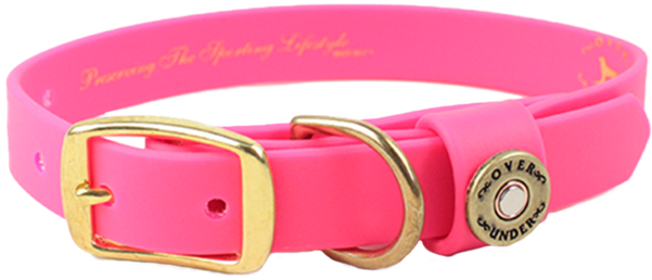 Water Dog Collar Pink - Buckle (600x600), Png Download