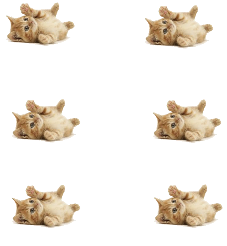 1 - Cute Ginger Kittens (900x900), Png Download