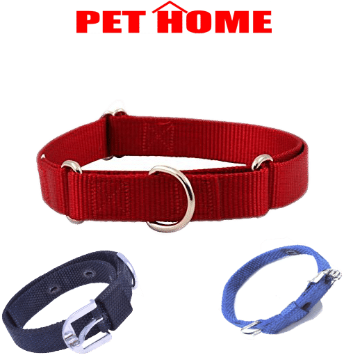 Classic - Belt (600x800), Png Download