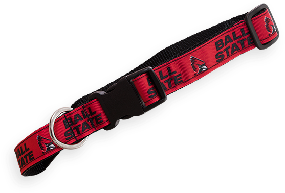 Cover Image For Dog Collar, Medium - Strap (600x600), Png Download