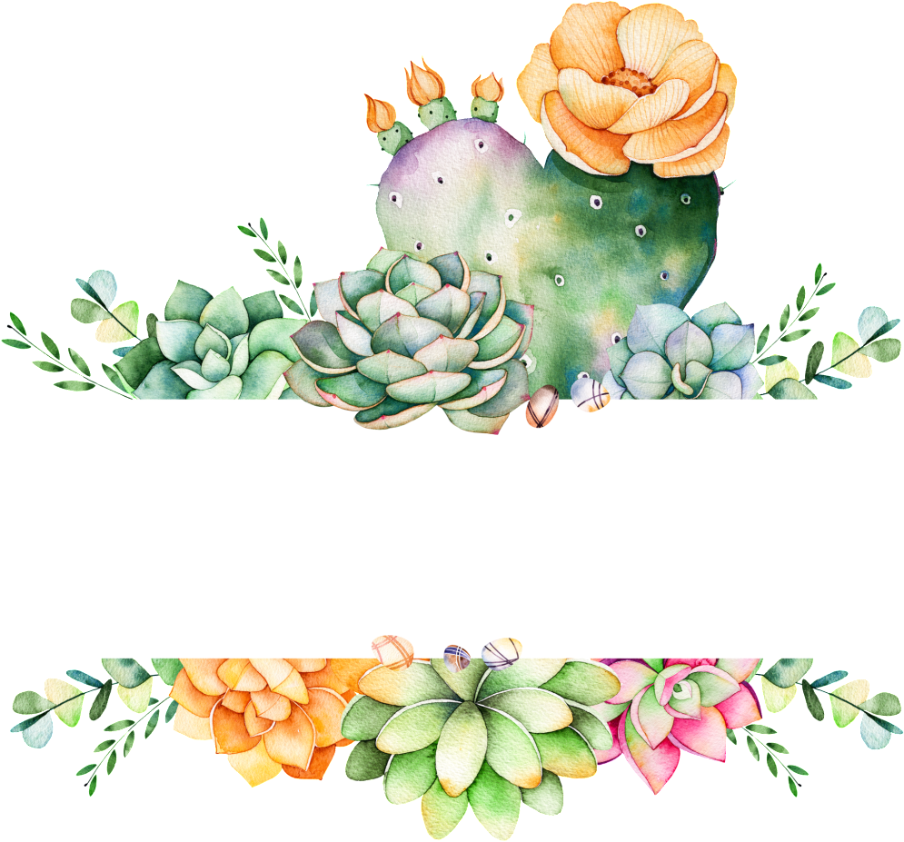 Cartoon Transparent Free Download Png Files - Cactus Illustration Frame (1024x934), Png Download