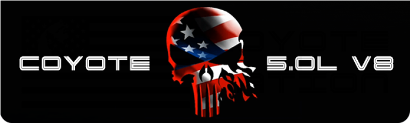 Punisher (800x800), Png Download