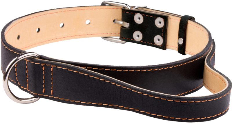 Dog Collar Png, Download Png Image With Transparent - Strap (800x429), Png Download