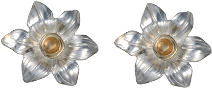 Earrings (640x640), Png Download