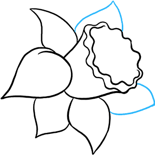 How To Draw Daffodil - Easy To Draw Daffodil (680x678), Png Download