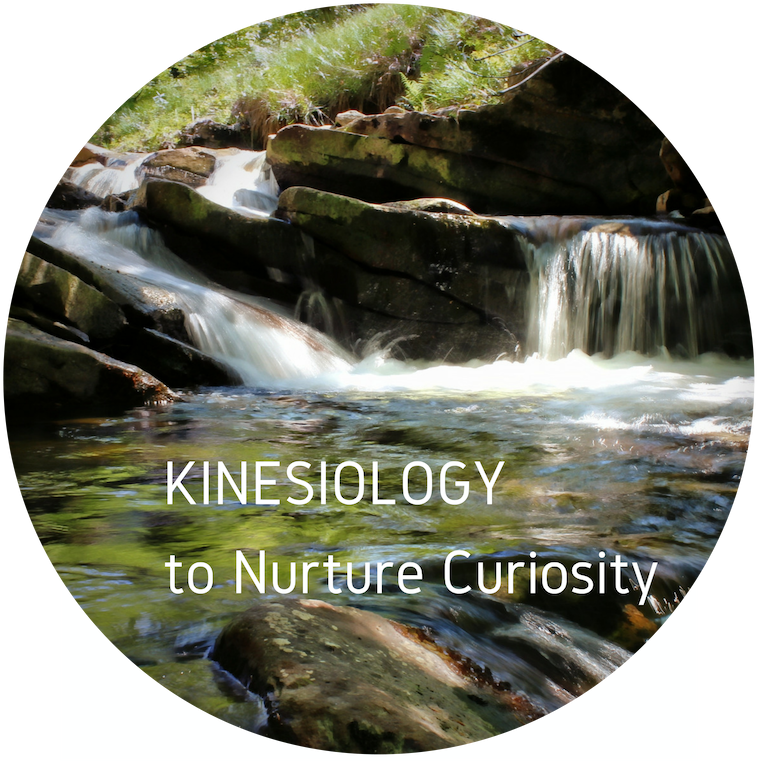 Kinesiology To Nurture Curiosity - Tributary (800x800), Png Download