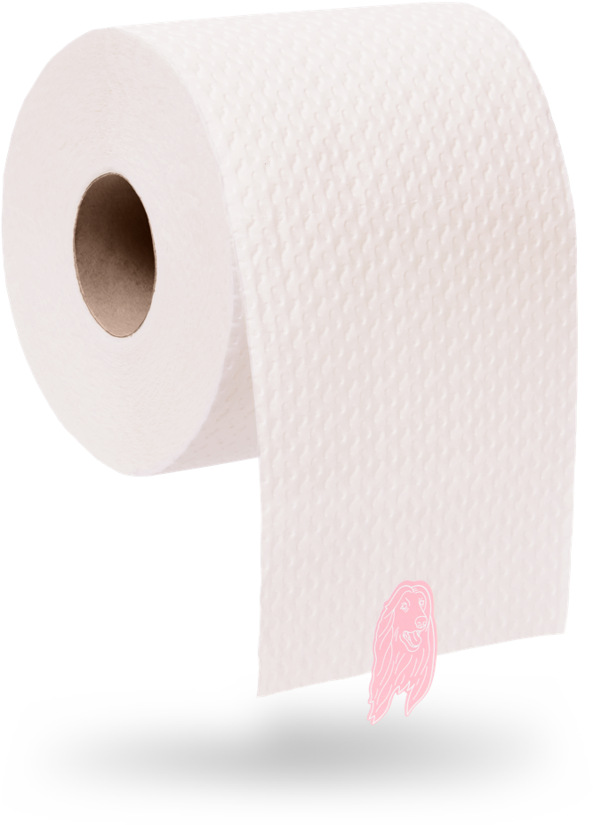 Tissue Paper (850x1040), Png Download