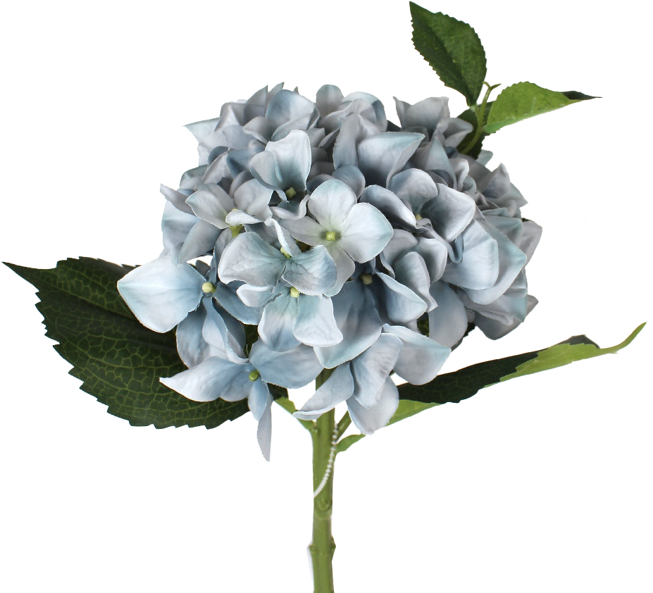 Blue Hydrangea Stem - Bouquet (933x848), Png Download
