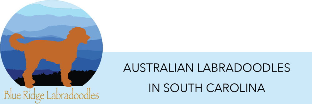 Brl Header3 - Graphic Design (1000x333), Png Download