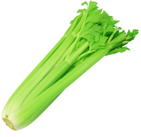 Celery Stalk 1 Pk - Transparent Image Of Celery (600x613), Png Download