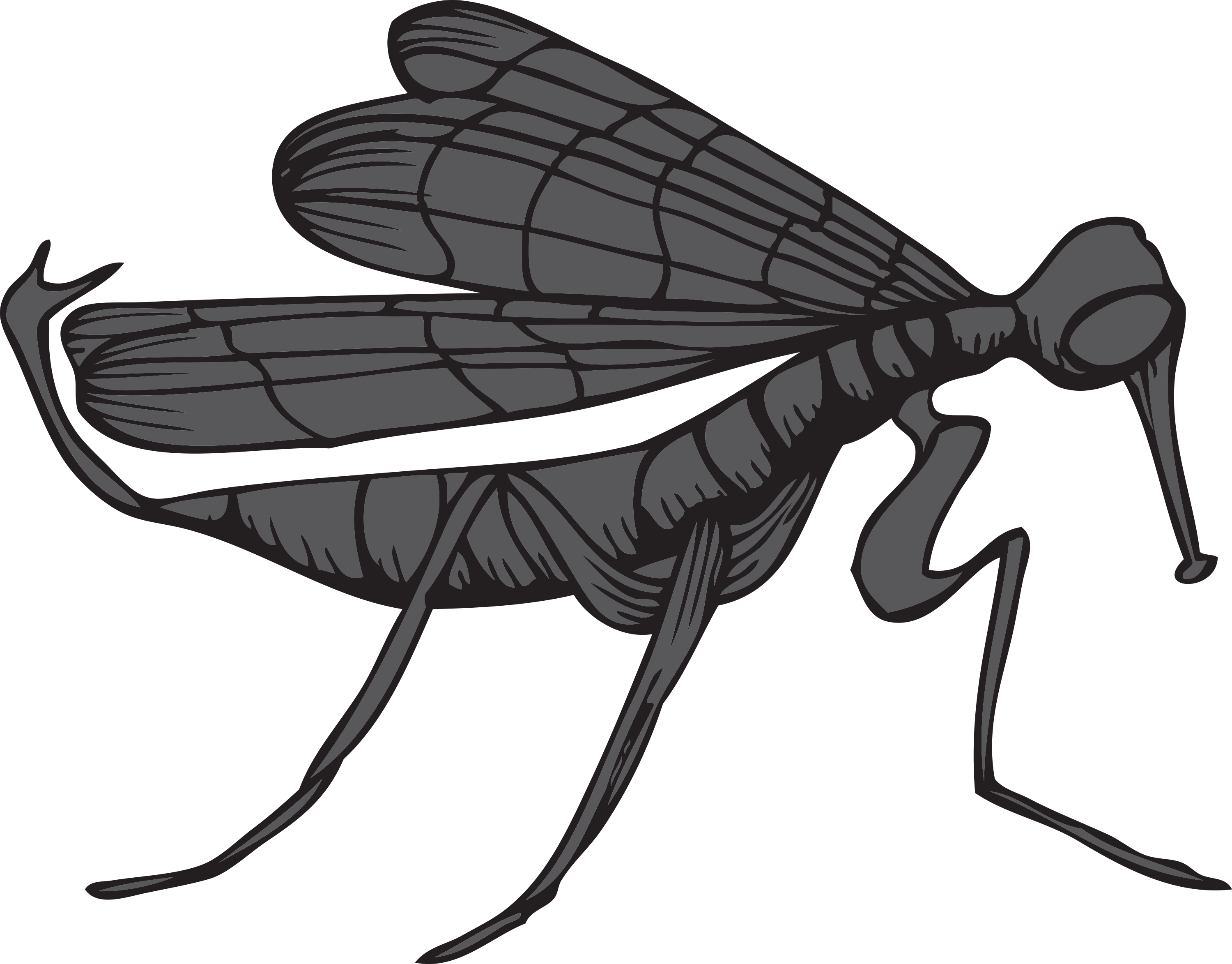 Vector-mosquito Fkkbb9id - Net-winged Insects (3000x2346), Png Download