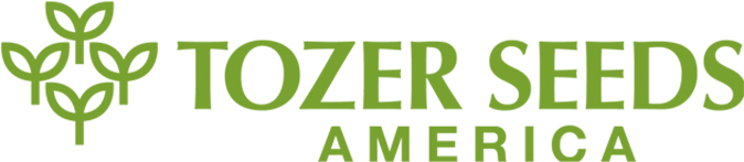 Tozer Seeds Releases Celery Varieties - Tozer Seeds (673x468), Png Download
