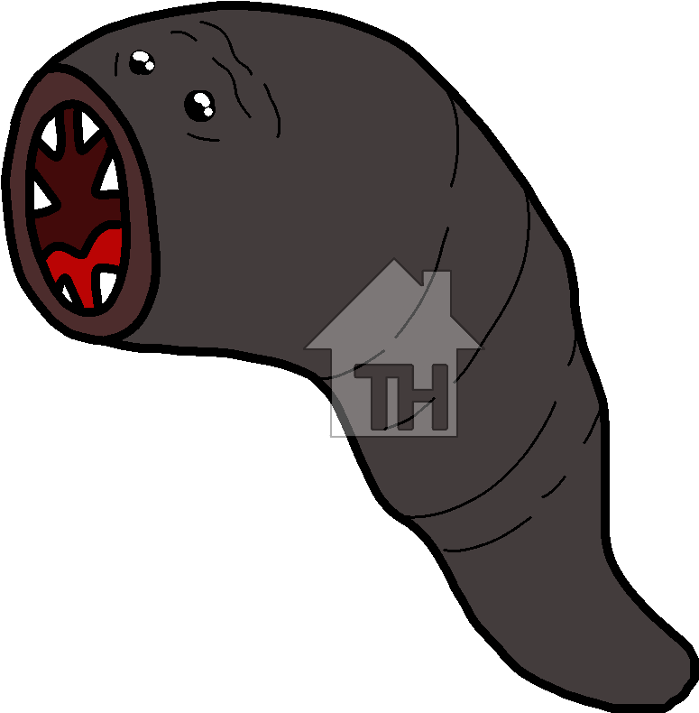Recent Images (1000x1000), Png Download