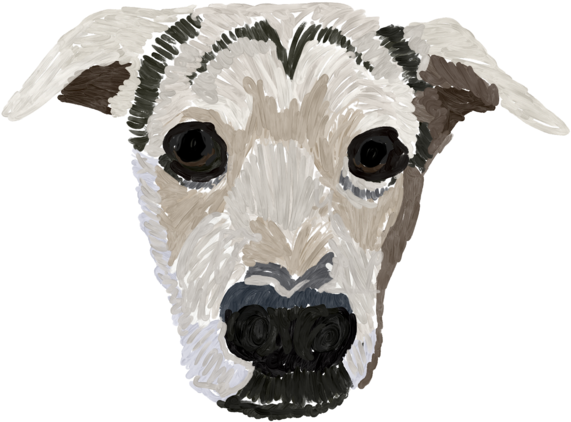 Crosby Drawing - Whippet (1000x563), Png Download
